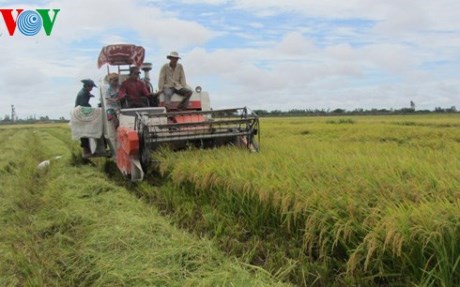 Mekong River Delta prepared for TPP participation