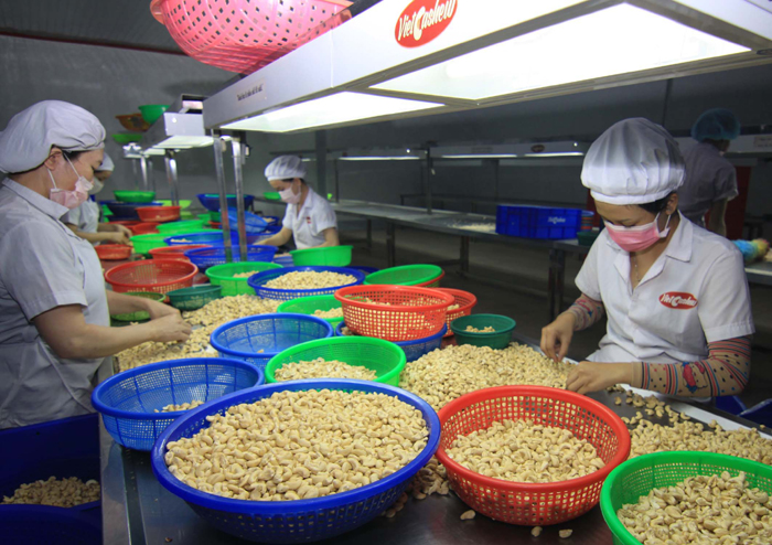 Vietnam’s cashew exports forecast to rise in 2016