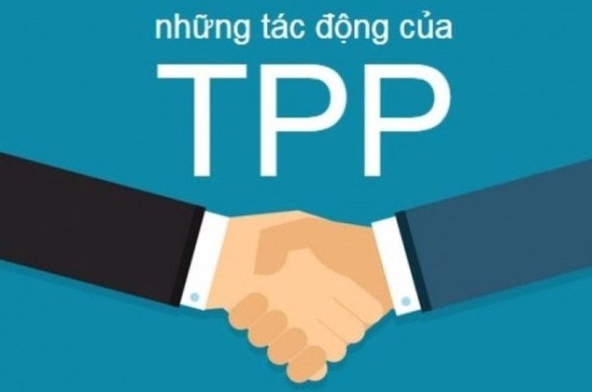 Hanoi and efforts to make full use of TPP opportunities