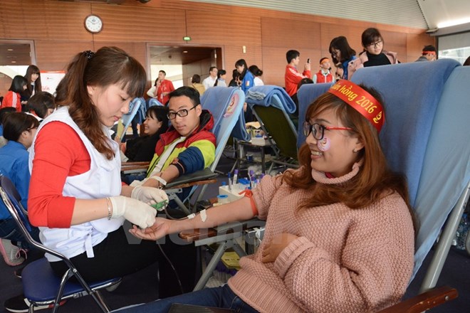 More than 2,000 people join blood donation festival