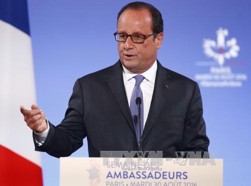 Francia fija plazo para que Reino Unido salga de la Unión Europea