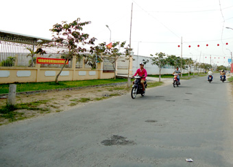 Women in Phong Dien contribute to new rural development
