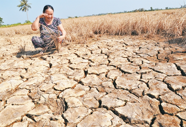 Climate change adaptation in Mekong delta
