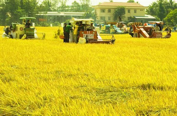 Policies on new rural development continue to be adjusted