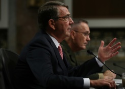 Pentagon details anti-IS aid to Southeast Asian allies