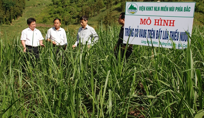 Models for sustainable agricultural production in response to climate change