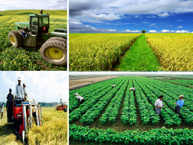 Hanoi takes the lead in new rural development