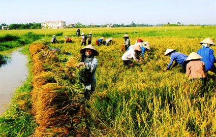 Dong Ha – Ha Giang’s first commune recognized as new-style rural area