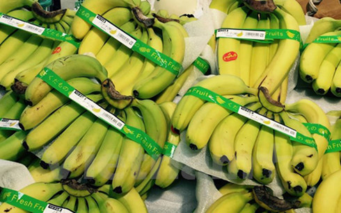 Vietnam earns 15 billion USD from exports of agro, forestry, fishery products