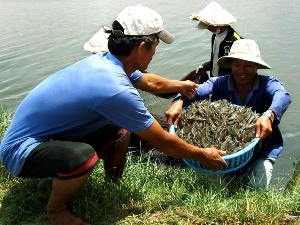quỹ bảo tồn thiên nhiên quốc tế khởi động các dự án do đan mạch tài trợ hình 0 quy bao ton thien nhien quoc te khoi dong cac du an do dan mach tai tro hinh 0