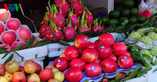 la ofrenda de frutas en los días del tet vietnamita hình 3 la ofrenda de frutas en los dias del tet vietnamita hinh 3