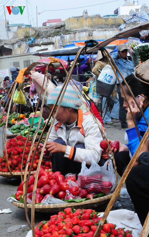 la ofrenda de frutas en los días del tet vietnamita hình 6 la ofrenda de frutas en los dias del tet vietnamita hinh 6