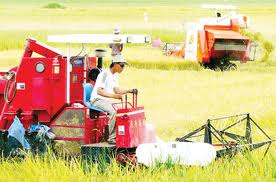 các giải pháp thực hiện chương trình mục tiêu quốc gia về nông thôn mới hình 0 cac giai phap thuc hien chuong trinh muc tieu quoc gia ve nong thon moi hinh 0