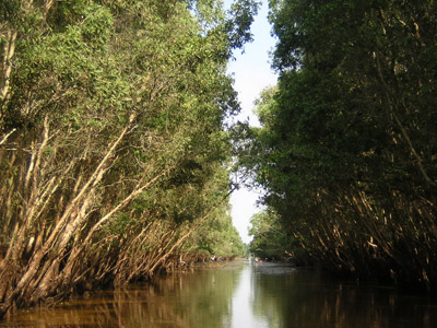 Berwisata di daerah dataran rendah sungai Mekong pada ...