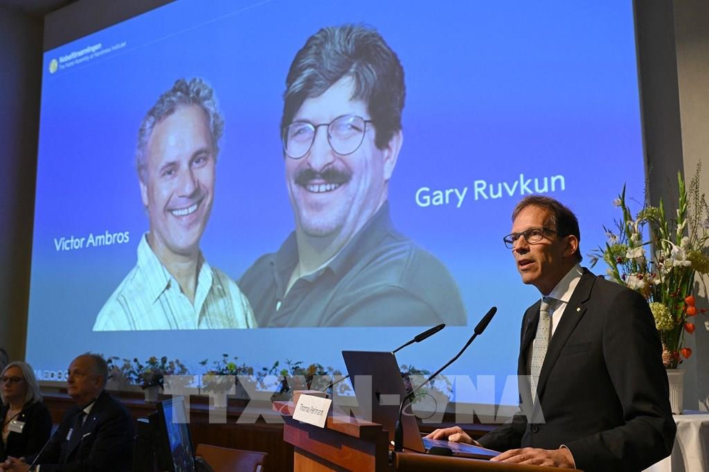 Nobel Prize in medicine goes to American biologists for work on microRNA