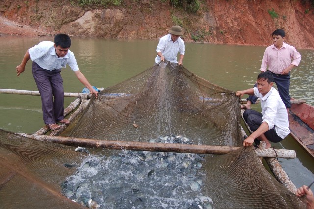 Hình ảnh: Nông nghiệp phải hướng tới xuất xuất khẩu sản phẩm công nghiệp thực phẩm số 5