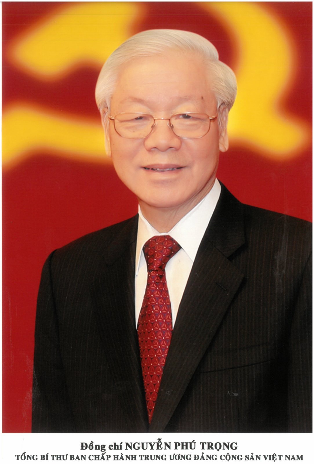 Biography of Party General Secretary Nguyen Phu Trong