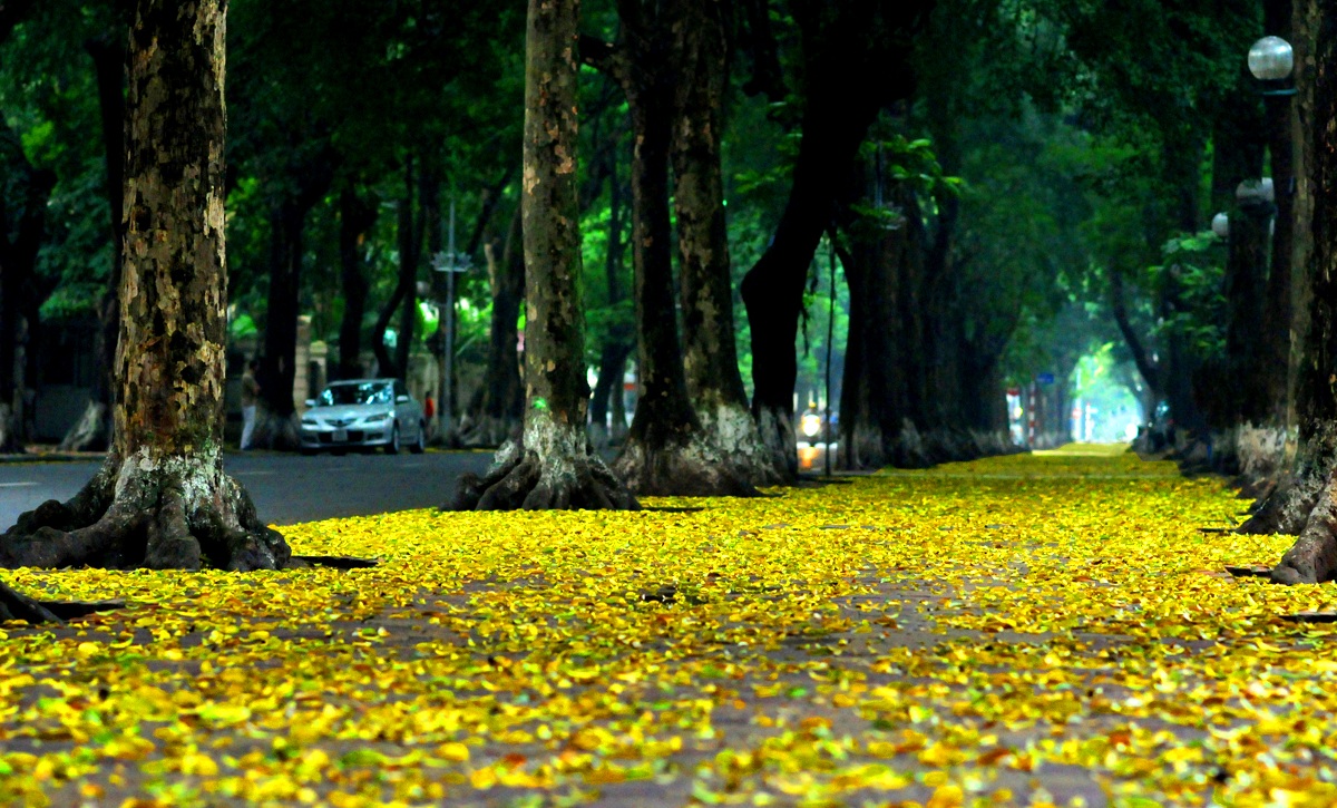 Autumn in Hanoi